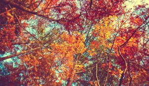 48 věcí, které musíte zkusit na podzim