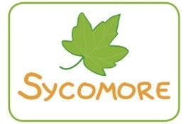 Sycomore