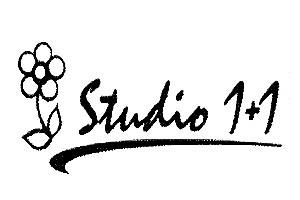 Studio 1+1