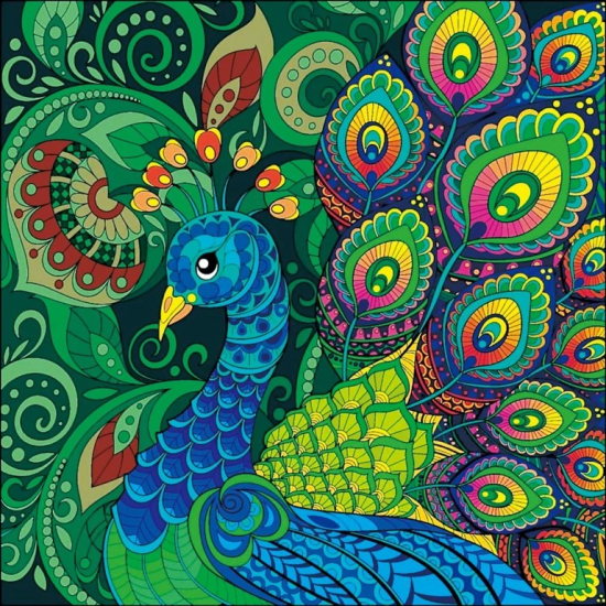 Diamantový obrázek 7D - Páv - 30 x 30 cm - 1006569