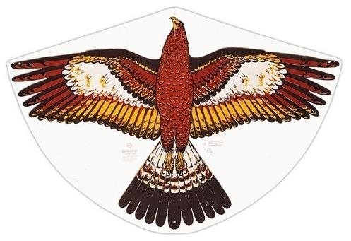 Létající drak - Orel zlatý - 92 x 62 cm - 1180