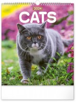 Nástěnný kalendář - Kočky - PGN-32433-L