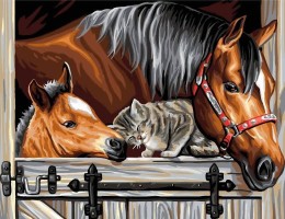 Diamantový obrázek - Koně s kočkou - 30 x 40 cm - 1006787