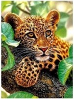 Diamantový obrázek - Leopard - 30 x 40 cm - 1008537