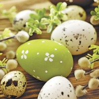 Velikonoční ubrousky PAW Decor L - Gentle Eggs among Catkons - SDL087200