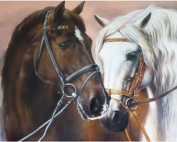 Diamantový obrázek - Dva koně - 30 x 40 cm - 1009538
