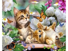 Diamantový obrázek - Koťata a motýl - 30 x 40 cm - 1009542