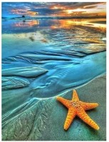 Diamantový obrázek - Hvězdice na pláži - 30x40cm - 1007417