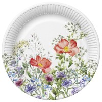 Papírové talíře velké - 23 cm - 8 ks - TD02_OG_032001