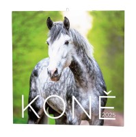 Nástěnný poznámkový kalendář - Koně - BNL3-25