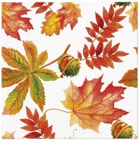Ubrousky PAW L - Fall colors - SDL136500