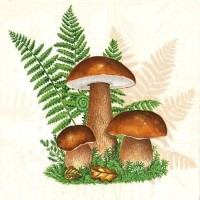 Ubrousky Maki L - Boletus with Leaves of Fern - SL_OG_047101 