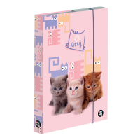 Box na sešity A4 - Mazlíčci - 5-69525
























