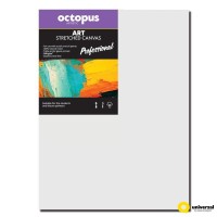 Malířské plátno OCTOPUS Professional - 30 x 60 cm - 350 g/m2