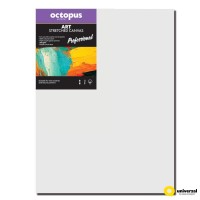 Malířské plátno OCTOPUS Professional - 40 x 50 cm - 350 g/m2