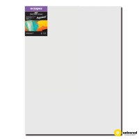 Malířské plátno OCTOPUS Professional - 40 x 80 cm - 350 g/m2