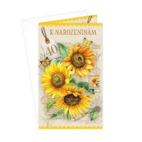 Blahopřání k 40. narozeninám - klopa na peníze - 15-6575c40