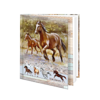 Památník - Wild horses - 1431-0414