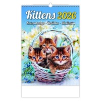 Nástěnný kalendář 2026 - Koťátka - N180-26





