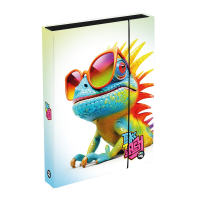 Box na sešity A4 JUMBO - Chameleon - 1-46725




















