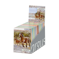 Trhací zápisník 9 x 12 cm - Wild horses - 1111-0414