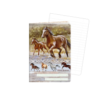 Školní sešit 644 - Wild horses - A6, linkovaný, 40 listů -1598-0414