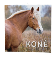 Nástěnný kalendář 2026 - Koně - BNL3-26