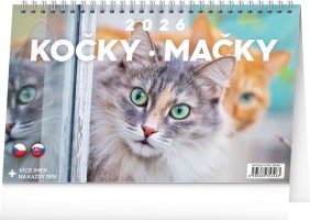 Stolní kalendář 2026 - Kočky - Mačky CZ/SK - PGS-35348

