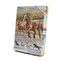 Box na sešity A5 - Wild horses - 1241-0414