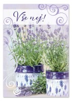 Hrací blahopřání - Nádherná láska, Pavel Novák - c022992