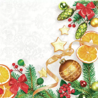 Vánoční ubrousky Daisy L - Christmas Decorative Frame - SD_GW_010501