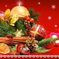 Vánoční ubrousky Daisy L - Christmas Spices - SD_GW_005201