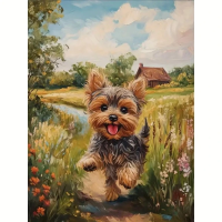 Diamantový obrázek - Pes Jorkšír - 30 x 40 cm - 2003063