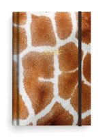 Týdenní diář Prokop - Lamino - B6 - Žirafa - BTP9-13-26

