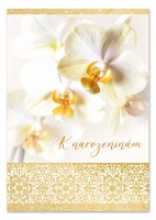 Hrací blahopřání - Bílá orchidej, Eva a Vašek - c002241
