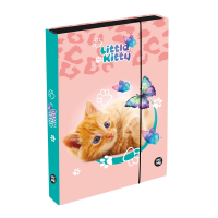 Box na sešity A4 JUMBO - Kočka - 1-39526



















