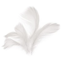 Peří - bílé - 10 g - 228950