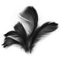 Peří - černé - 10 g - 228951