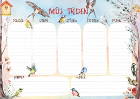 Týdenní plánovač A4 - Ptáčci - 
BBL02-3







