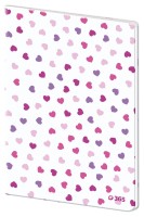 Sešit 544 - plastové desky - Hearts - CSI0772

