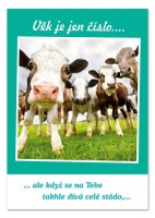 Hrací blahopřání - Věk je pouze číslo, Pavel Callta - c002469
