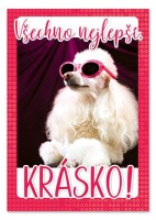 Hrací blahopřání - Teď královnou jsem já, Bára Basiková - c023042