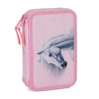 Dvoupatrový školní penál - Kůň romantic - 8-53226

