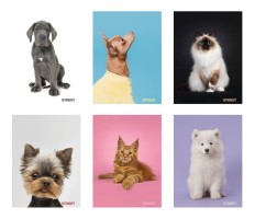 Školní sešit 454 - Friends - A4, linkovaný, 56 listů