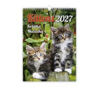 Nástěnný kalendář 2027 - Koťátka  - N180-27




