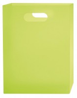 Box na sešity s průhmatem A4 - FROSTY zelená - 2-742