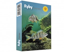 Kvarteto - Ryby - 3401