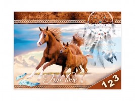 Desky na číslice - Koně - 8020919