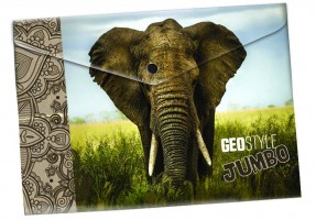 Desky s drukem A4 - Geo nature - Slon - 2-338