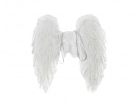 Andělská křídla - peří - 50 x 50 cm - 8885877
